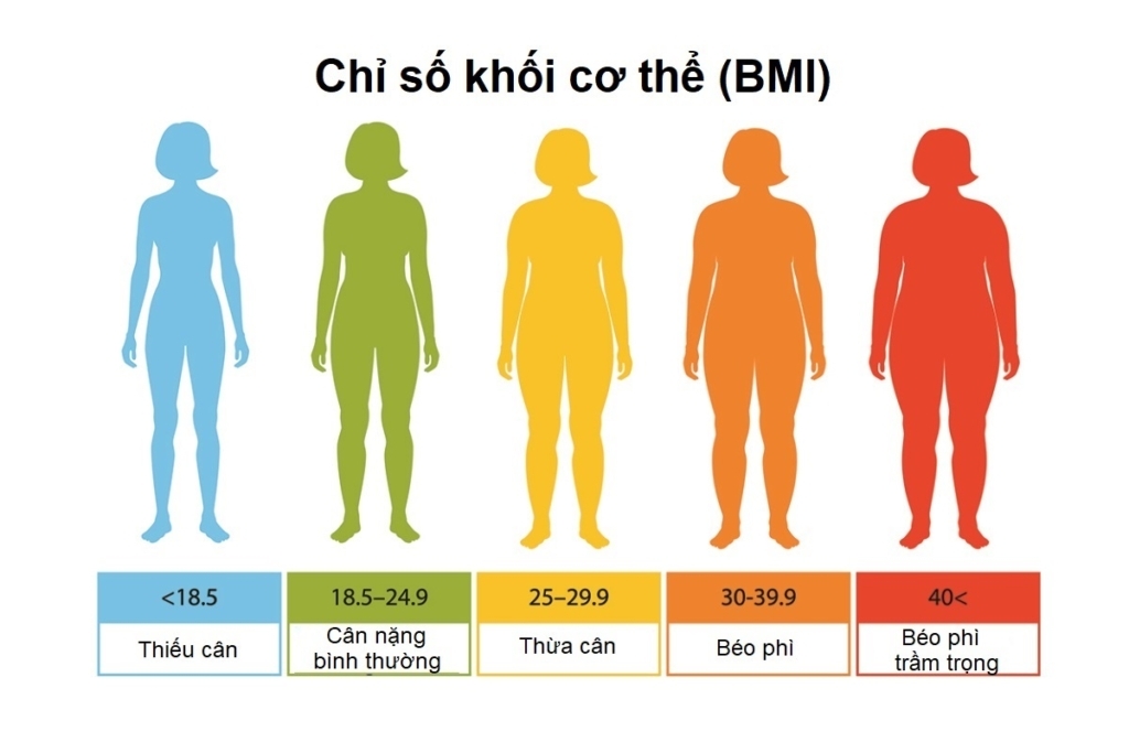 bmi và vòng eo