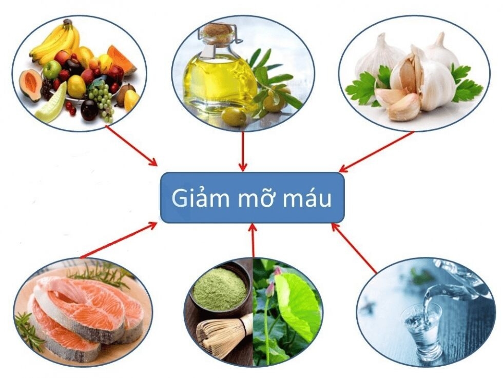 che-do-an-co-cholesterol-va-cholesterol-trong-mau-la-khac-nhau