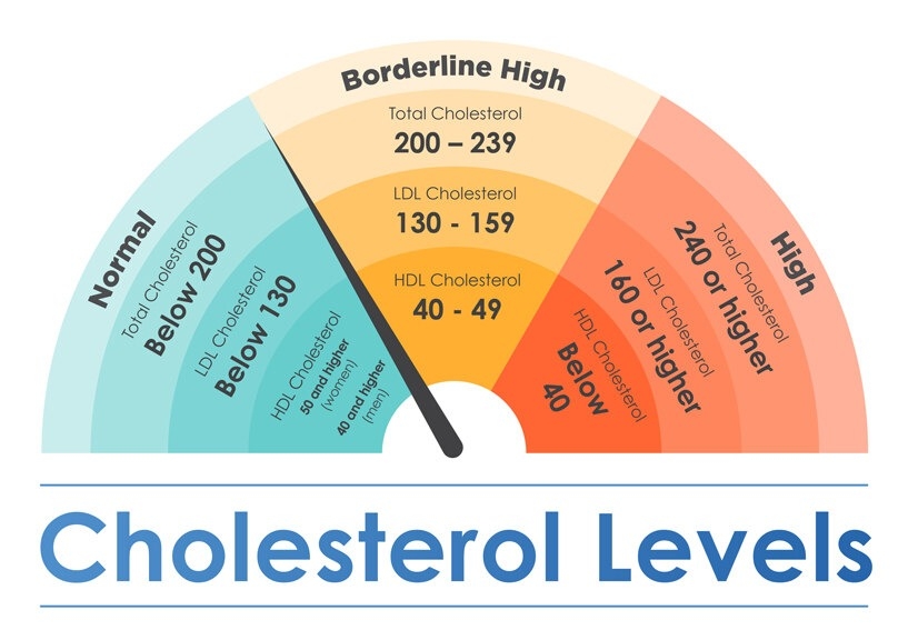 muc-cholesterol-nao-la-binh-thuong-doi-voi-phu-nu