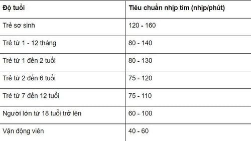 nhip-tim-cua-mot-van-dong-vien-khi-nghi-ngoi