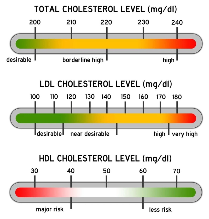 so sánh LDL với HDL