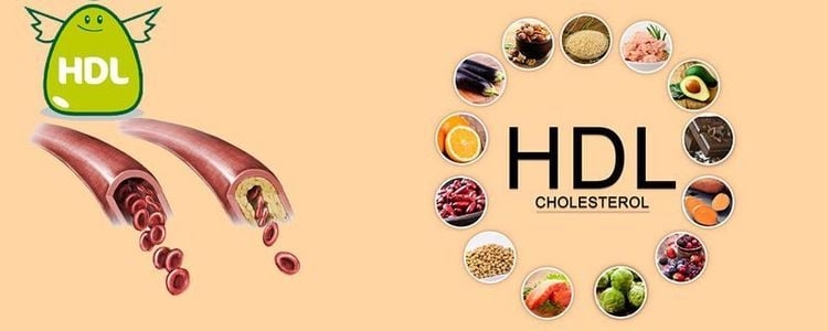 Những bữa ăn nào làm tăng cholesterol HDL?